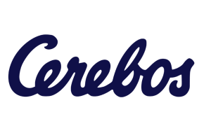 cerebos hewsons executive coaching client