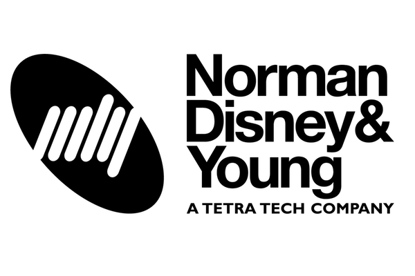 norman disney young hewsons executive coaching client